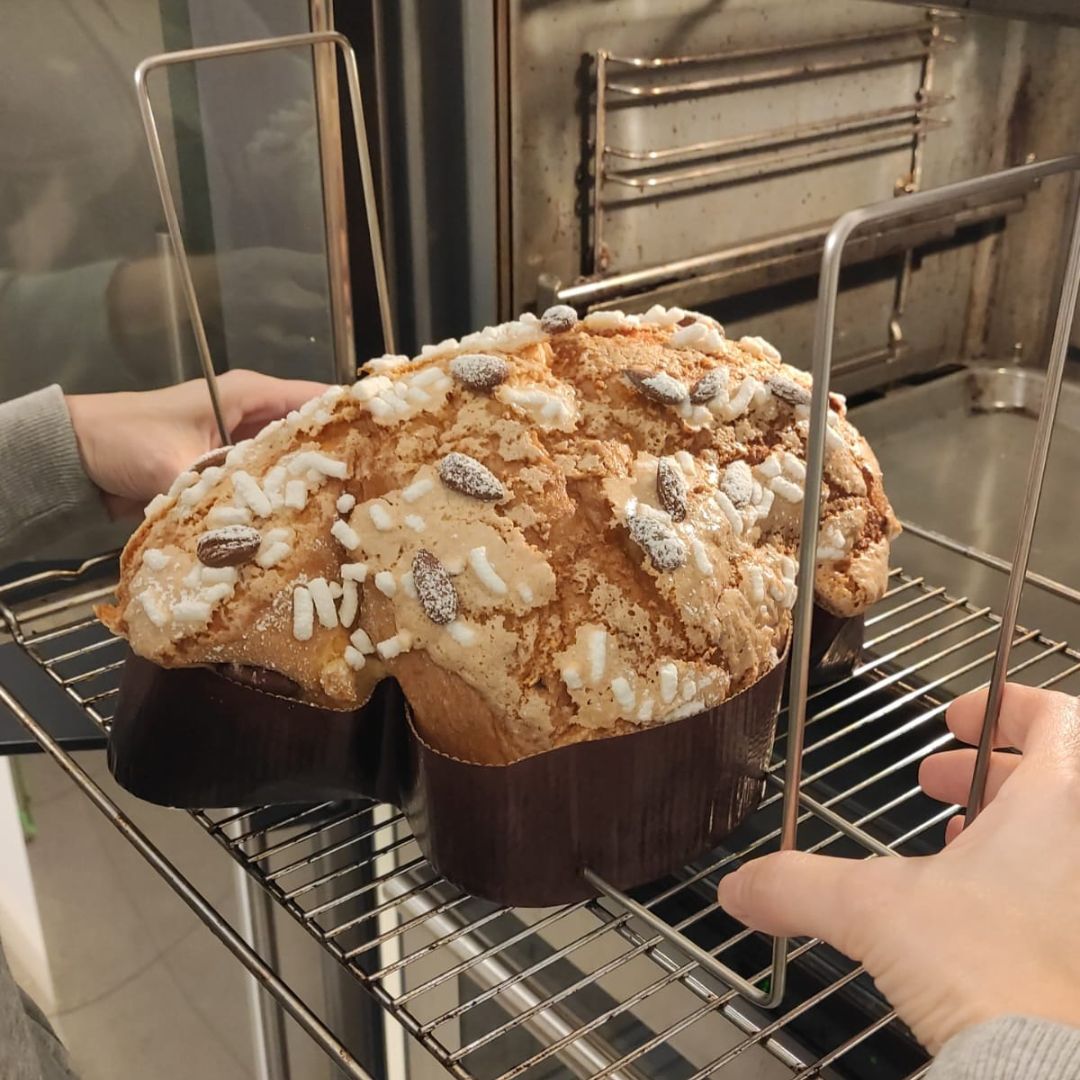 Spilloni per panettoni e colombe autoportanti. Tino's l'amico del pirottino!